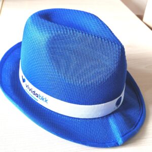 Sonnenhut blau